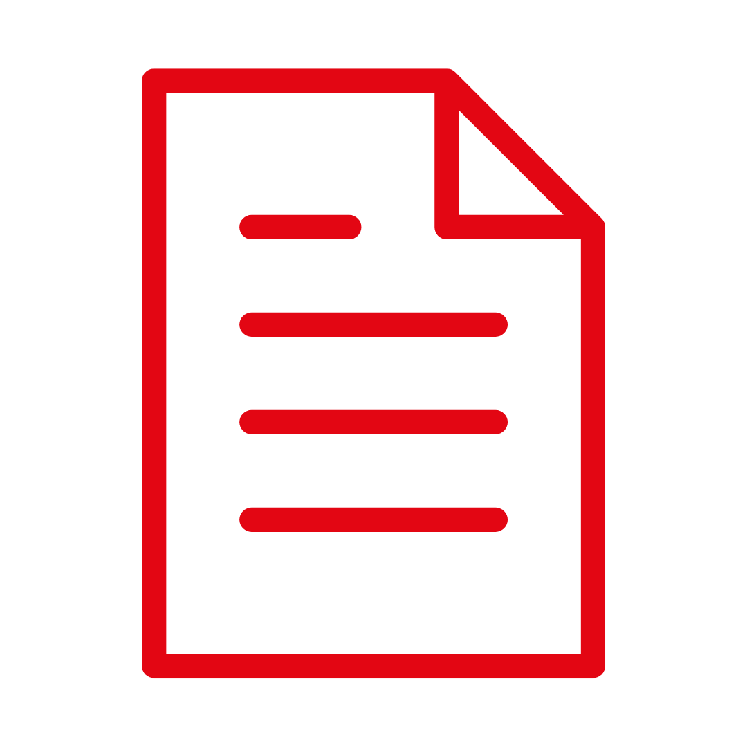 Icon Dokument